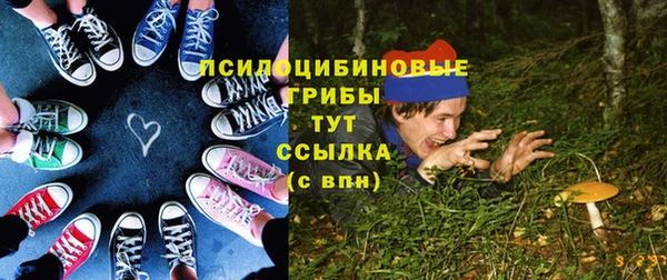 тгк Дмитровск