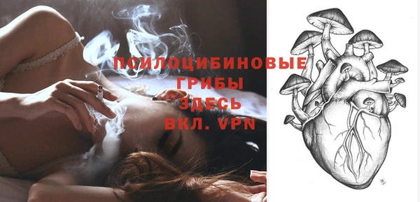 дживик Алексин