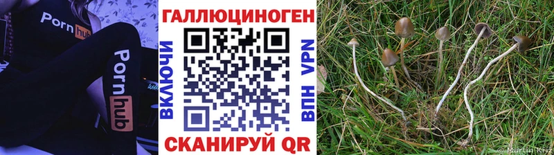 Псилоцибиновые грибы Psilocybe  наркотики  blacksprut ТОР  Осташков 